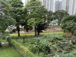 Blk 602 Senja Road (Bukit Panjang), HDB 4 Rooms #520040291